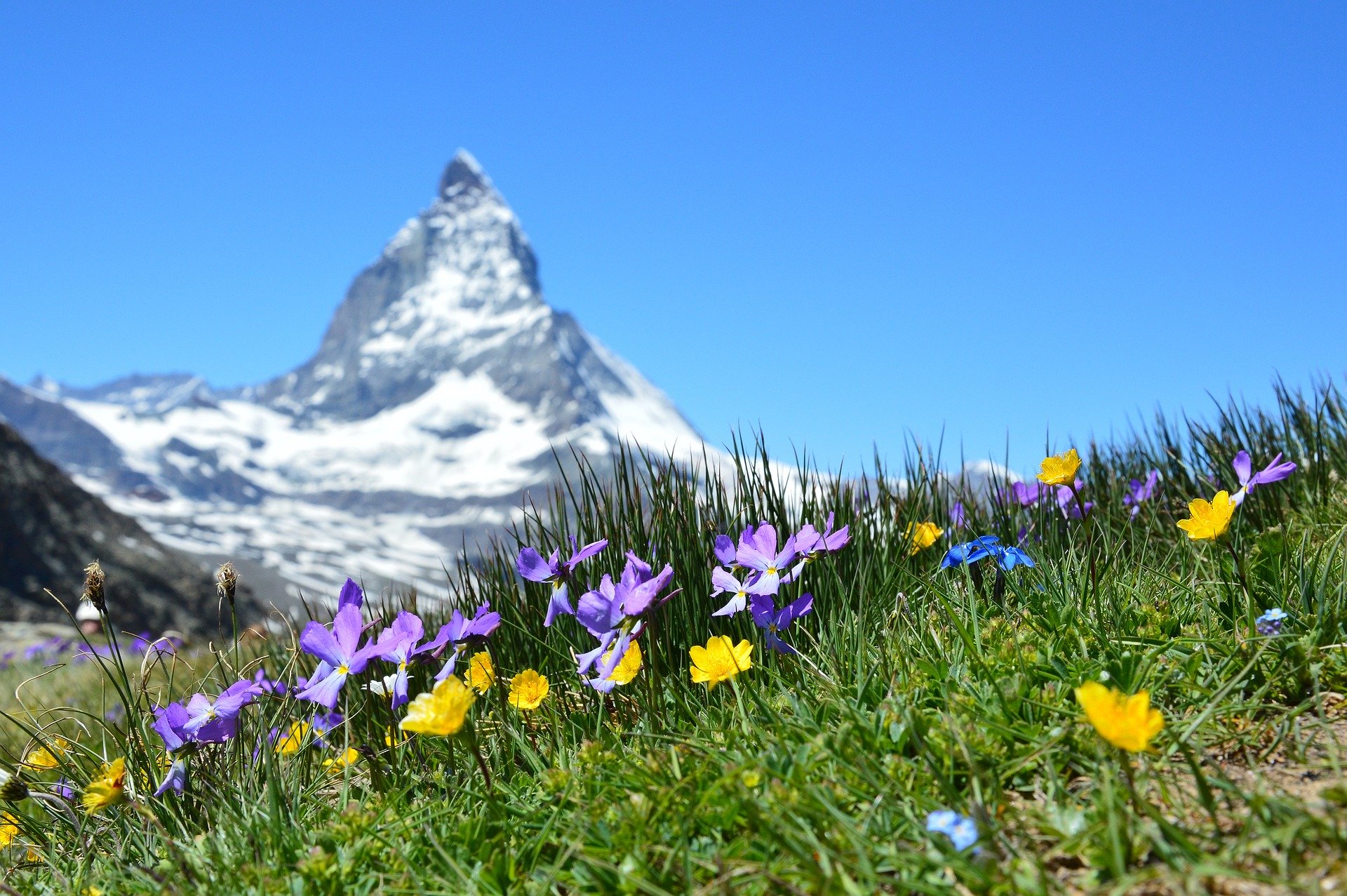 Tout sur les Votations de Septembre : Réforme du 2e Pilier et Biodiversité en Suisse